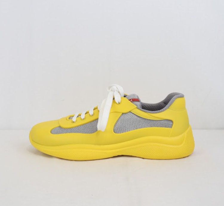 Americas Cup Low Top Sneakers Trainer In Multicolor