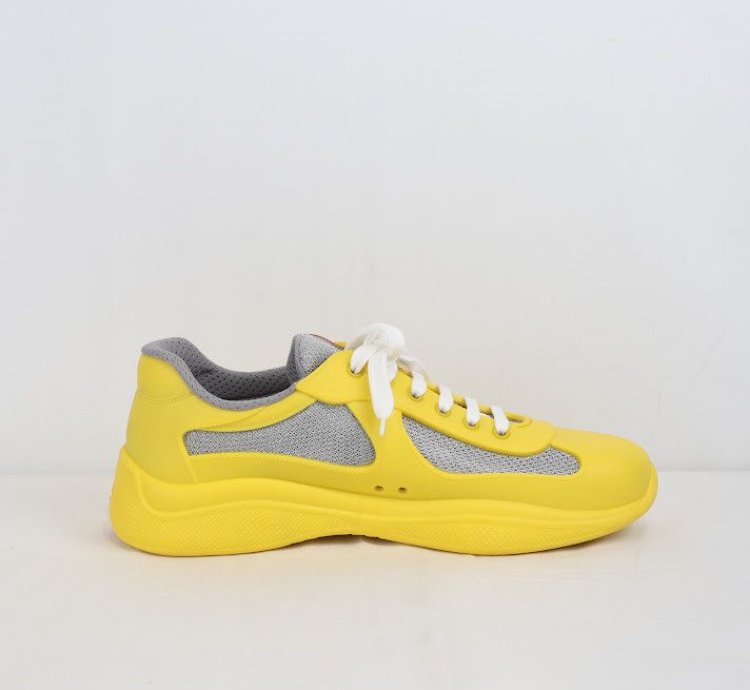 Americas Cup Low Top Sneakers Trainer In Multicolor