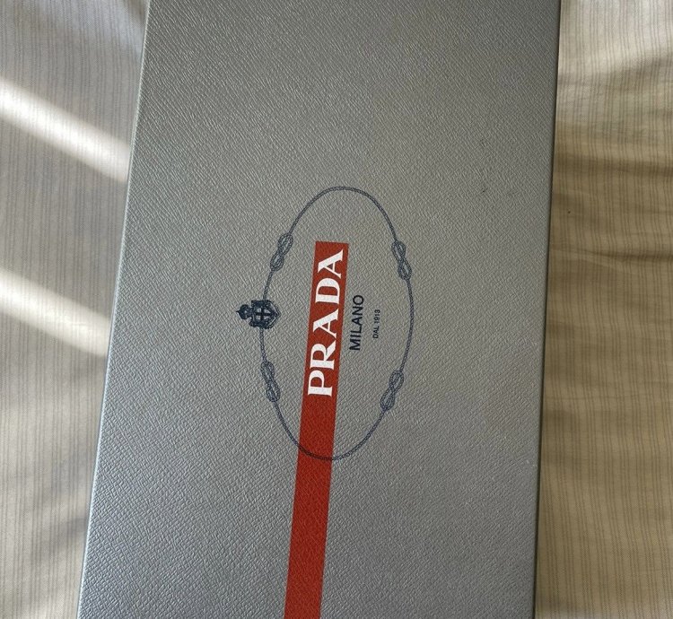Americas Cup Sneakers
