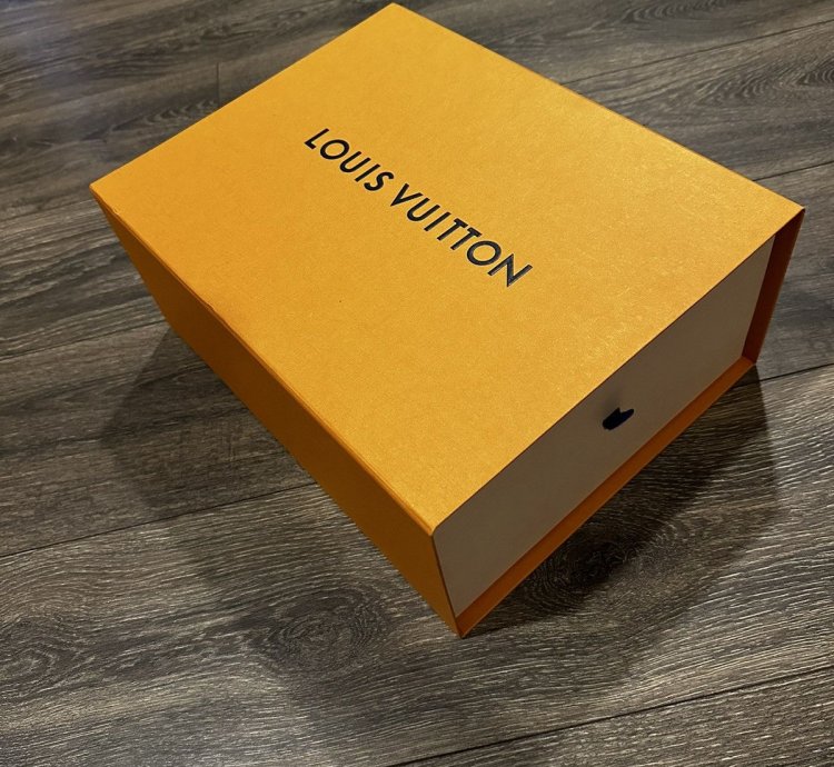 Brand New Louis Vuitton Runaway Sneakers