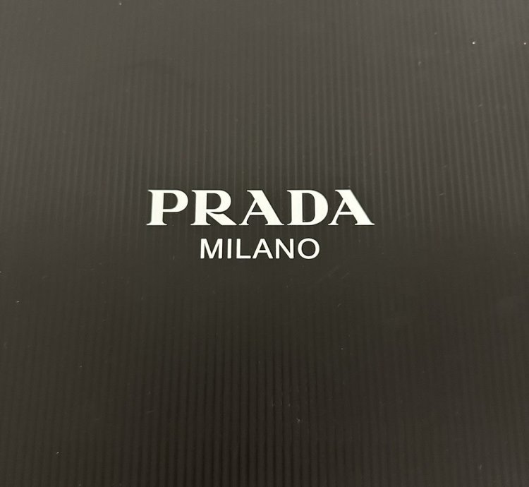 Cloudburst Thunder Prada Sneaker