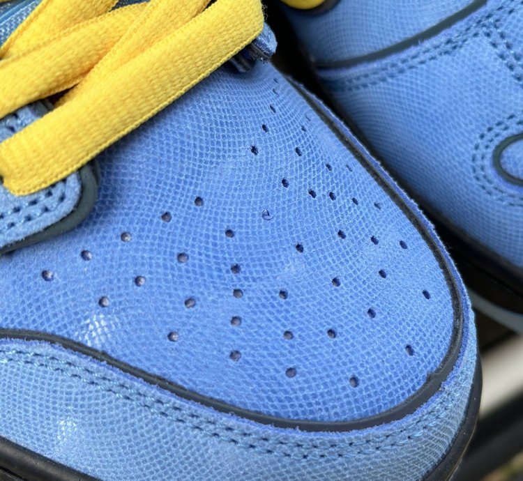 Nike Sb Dunk Low The Powerpuff Girls Bubbles Blue Fz8320-4009