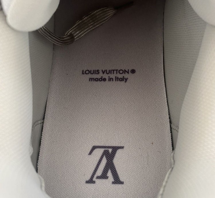 Louis Vuitton Argent Chrome Sneaker