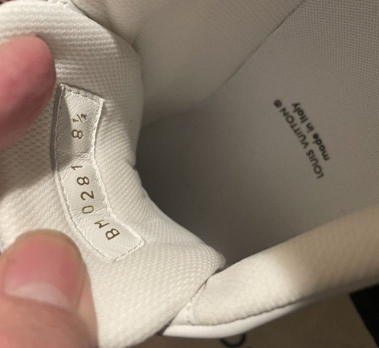 Louis Vuitton Duck Trainer