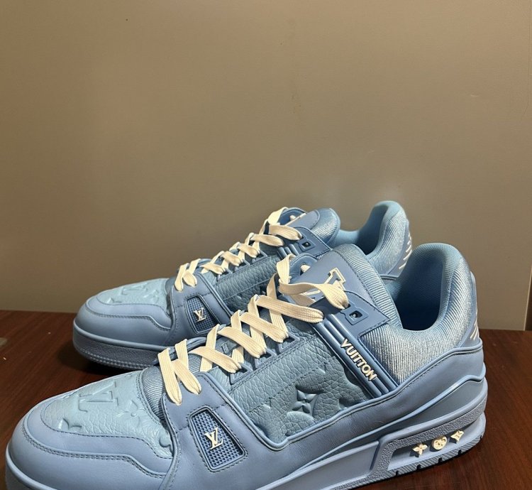Louis Vuitton Logo Monogram Trainer Sneakers 12