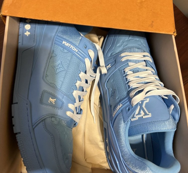 Louis Vuitton Logo Monogram Trainer Sneakers 12