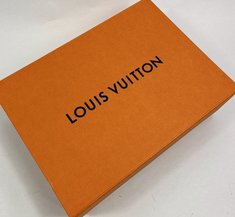 Louis Vuitton Lucien Clark Sneakers
