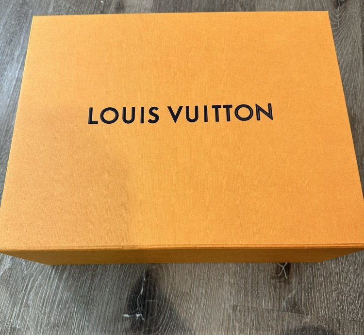 Louis Vuitton Lv Black White Trainer