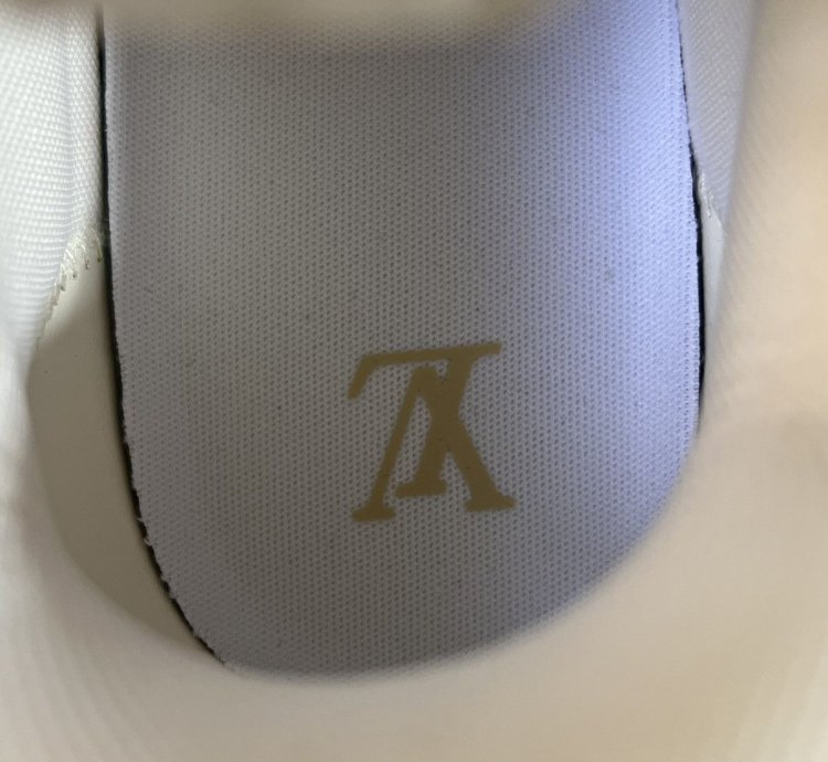Louis Vuitton Lv Skate Rope Sneaker