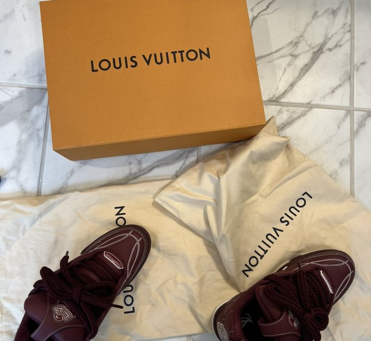 Louis Vuitton Lv Skate Sneaker