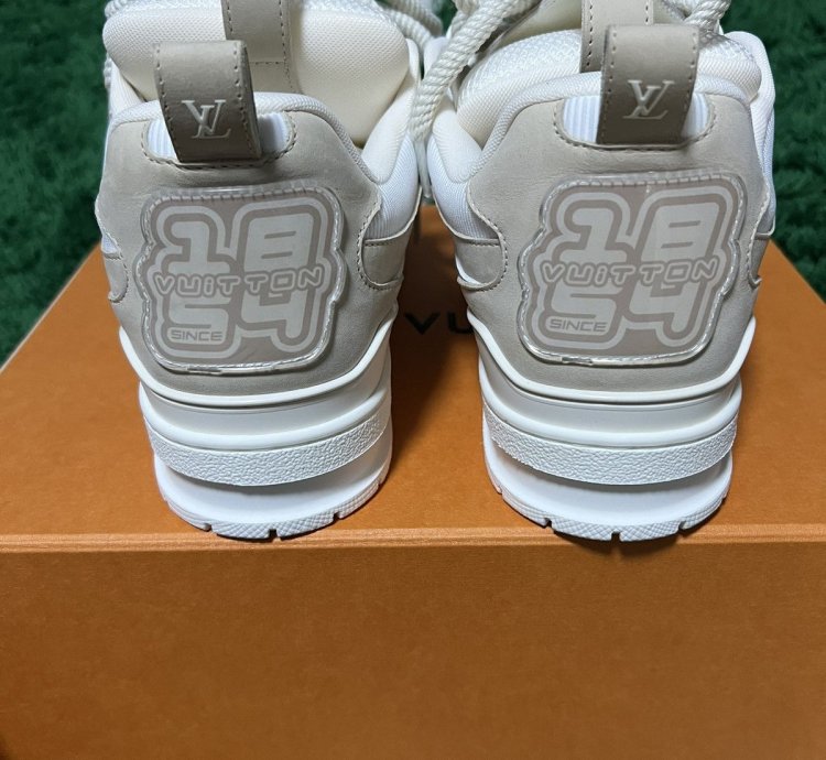 Louis Vuitton Lv Skate Sneaker