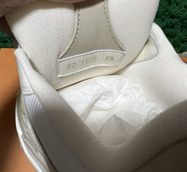 Louis Vuitton Lv Skate Sneaker