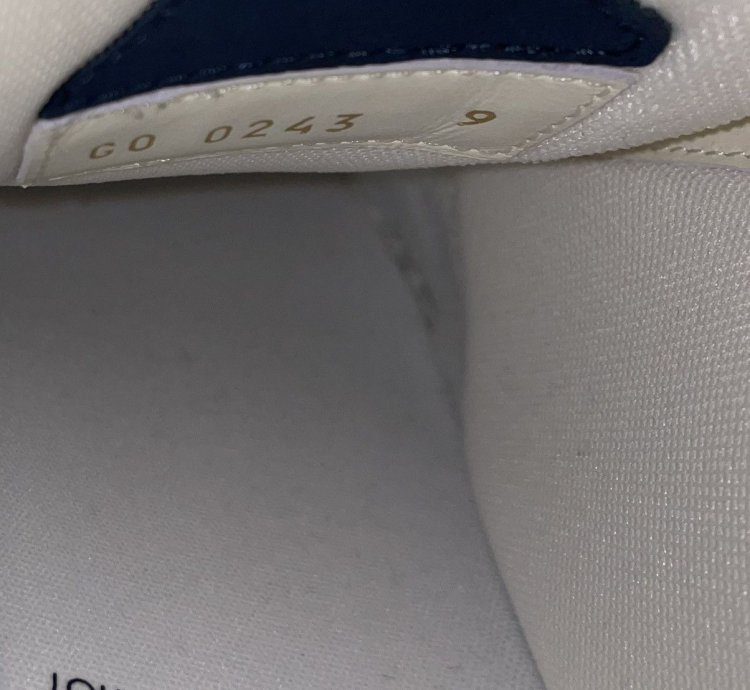 Louis Vuitton Lv Skate Sneakers Sz 10us