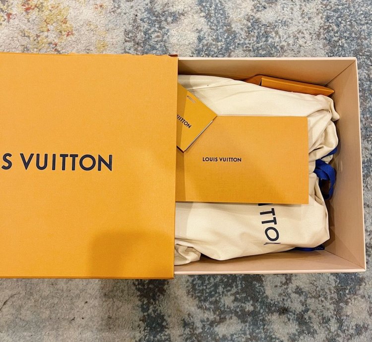 Louis Vuitton Lv Trainer Nigo Duck