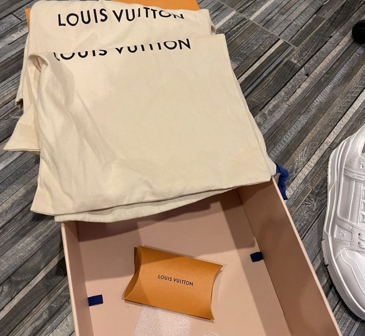 Louis Vuitton Lv Trainer Sneaker