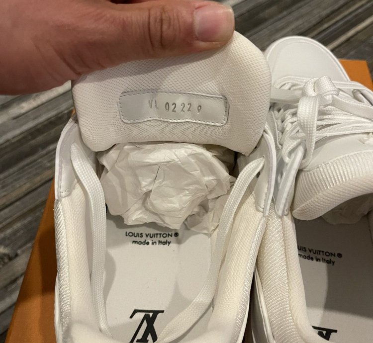 Louis Vuitton Lv Trainer Sneaker