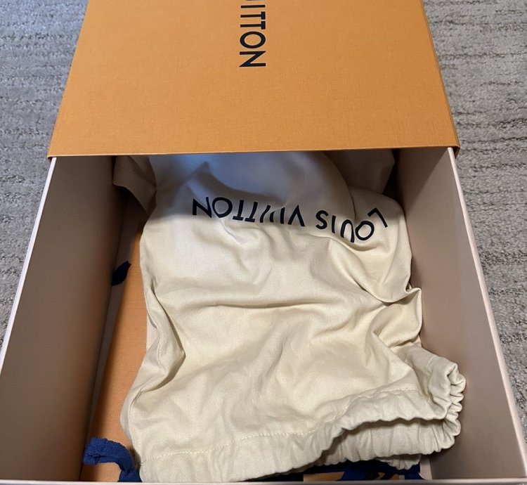 Louis Vuitton Lv Trainer Sneaker 8