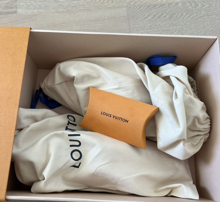 Louis Vuitton Lv Virgil Luxembourg Trainer Sneaker
