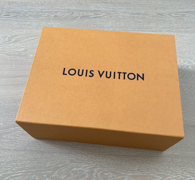 Louis Vuitton Lv Virgil Luxembourg Trainer Sneaker