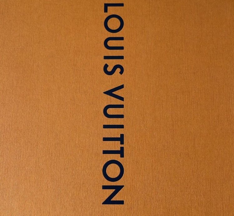 Louis Vuitton Men Sneaker