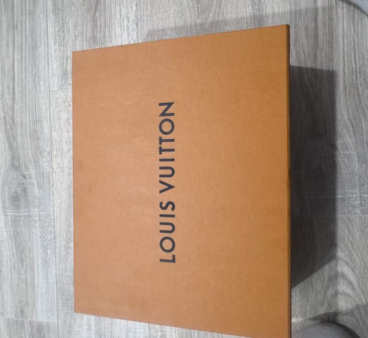 Louis Vuitton Mens Trainer