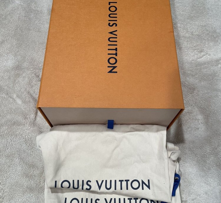Louis Vuitton Mirror Silver Trainer Sneaker