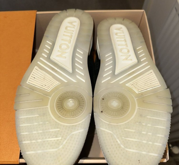 Louis Vuitton Monogram Canvas Sneakers
