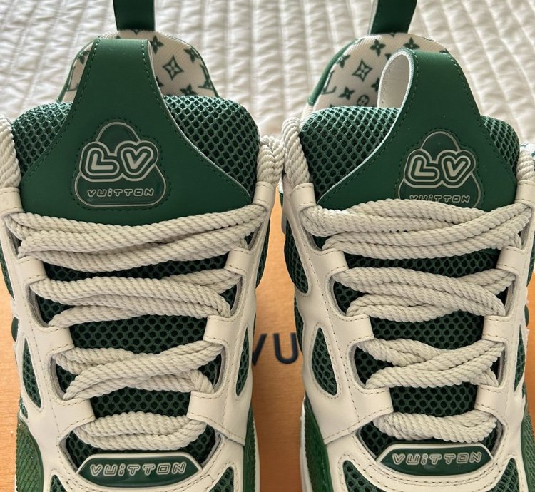 Louis Vuitton Monogram Skate Sneaker Shoe