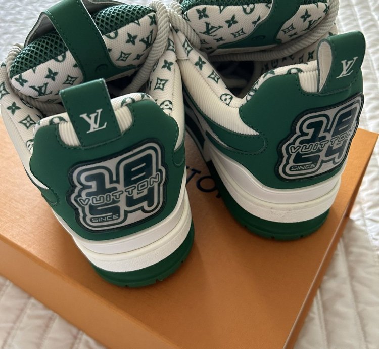 Louis Vuitton Monogram Skate Sneaker Shoe