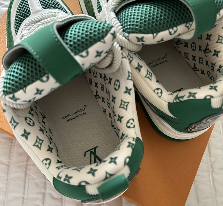 Louis Vuitton Monogram Skate Sneaker Shoe