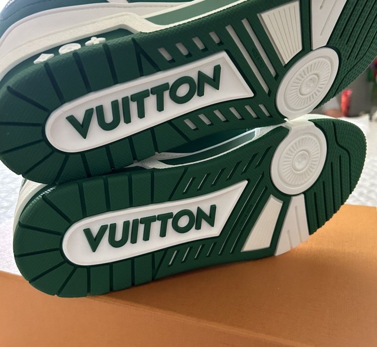Louis Vuitton Monogram Skate Sneaker Shoe