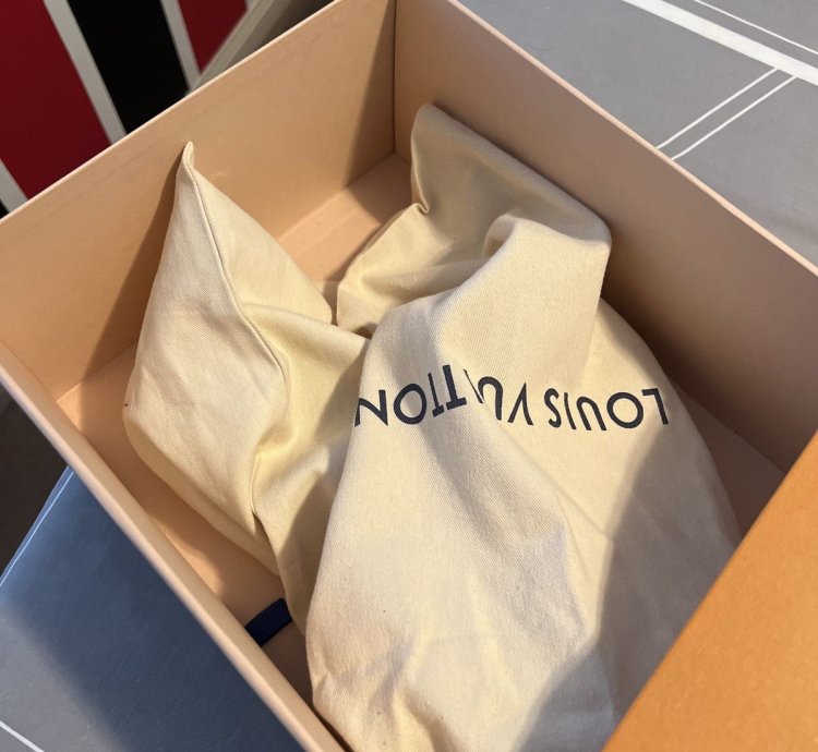 Louis Vuitton Nigo Sneakers 9