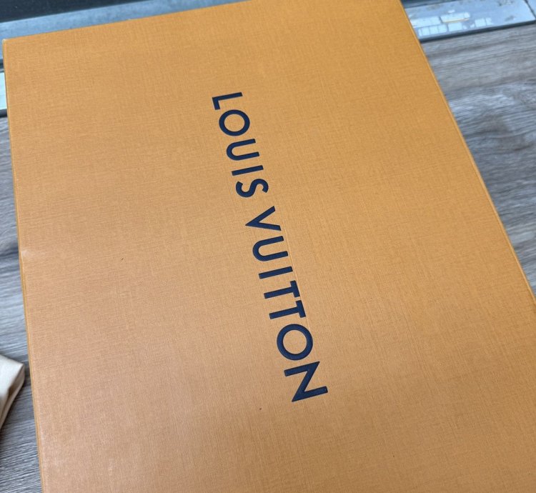 Louis Vuitton Runaway Runners