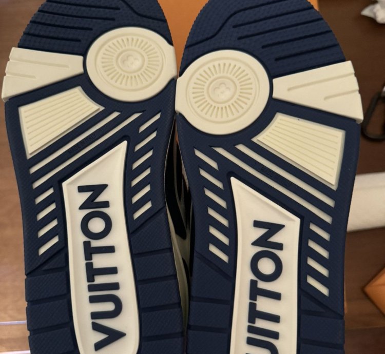 Louis Vuitton Skate