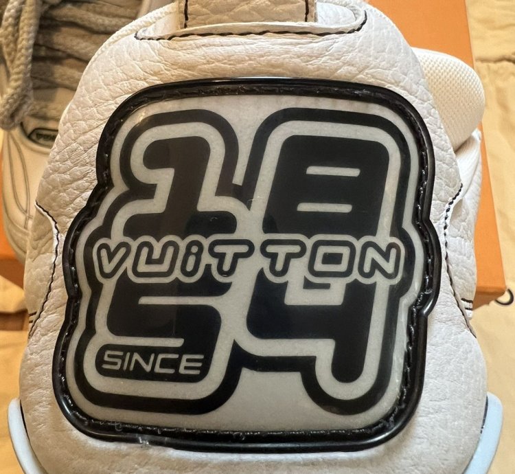 Louis Vuitton Skate Shoe