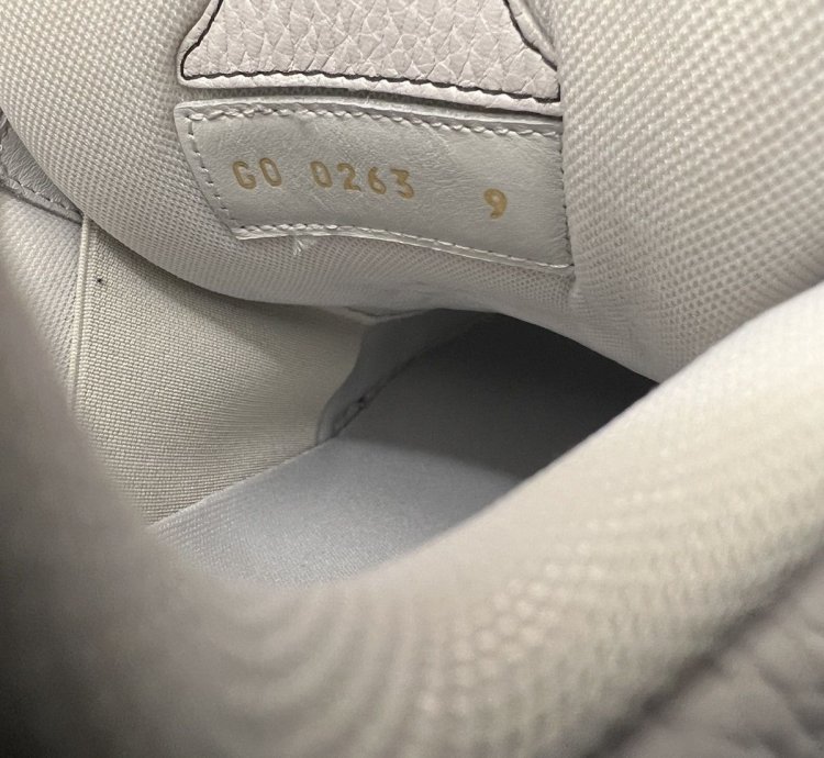 Louis Vuitton Skate Shoe