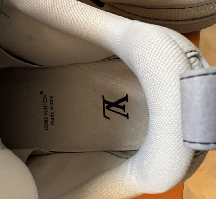 Louis Vuitton Skate Shoe