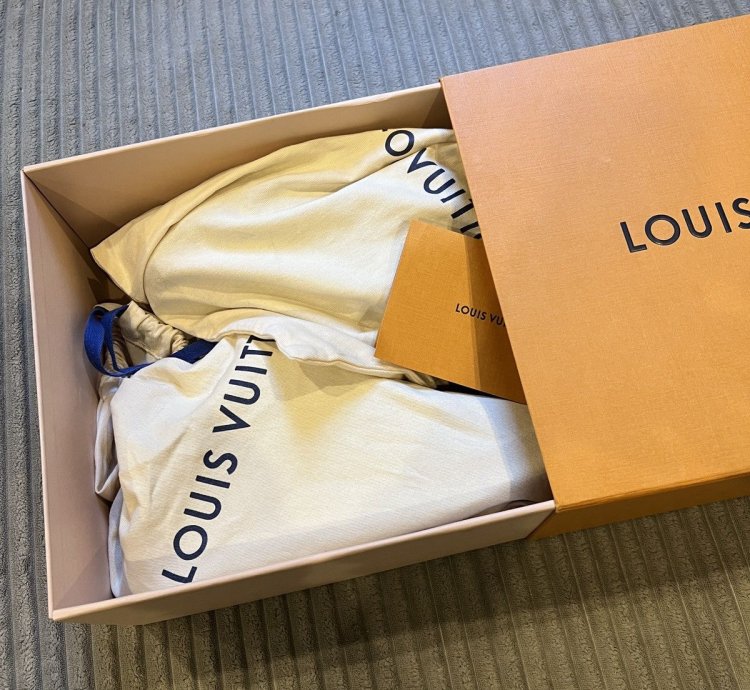 Louis Vuitton Skate Sneaker Green