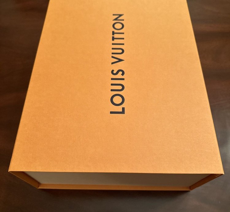 Louis Vuitton Skate Sneaker Marine