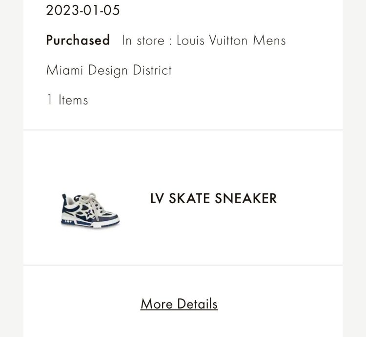 Louis Vuitton Skate Sneaker Marine