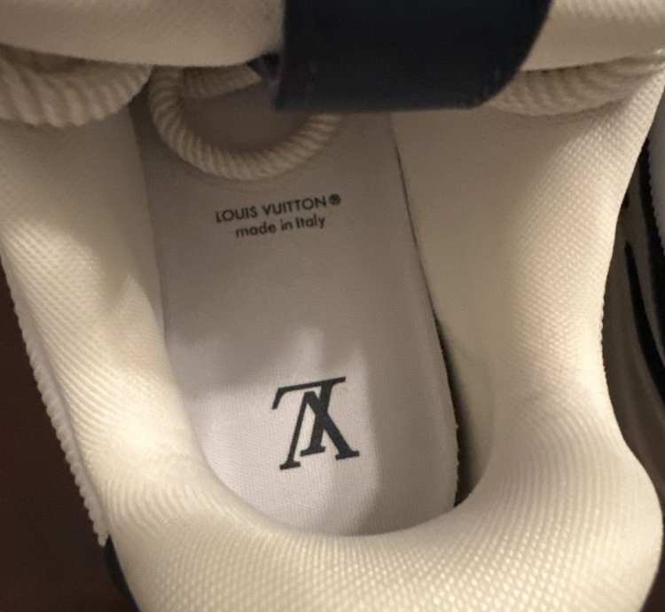 Louis Vuitton Skate Sneaker Marine