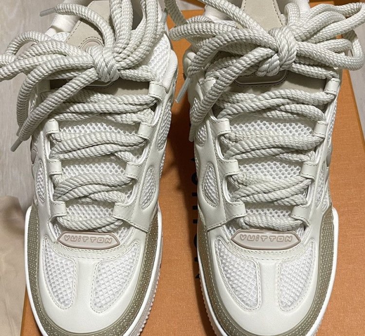 Louis Vuitton Skate Sneakers