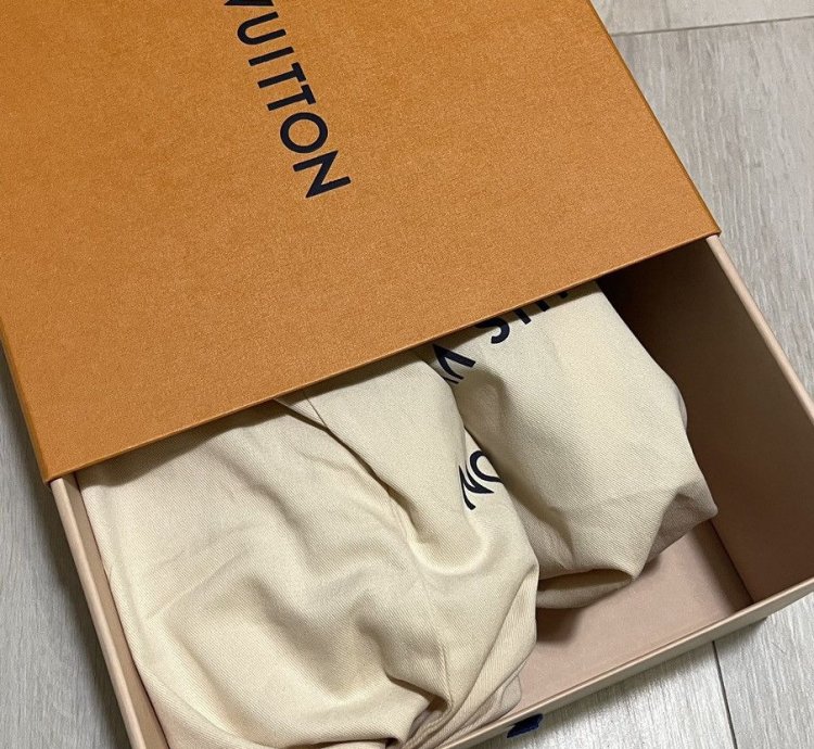 Louis Vuitton Skate Sneakers