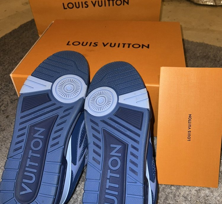 Louis Vuitton Skate Sneakers 8 5