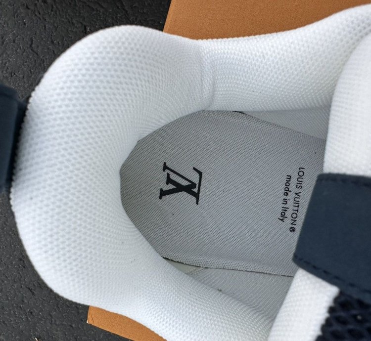Louis Vuitton Skate Sneakers Blue