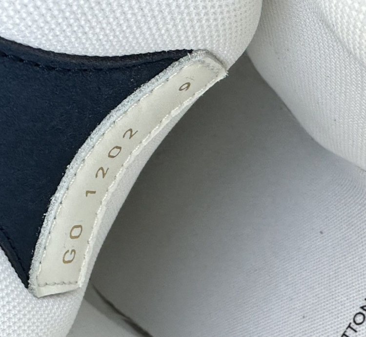 Louis Vuitton Skate Sneakers Blue