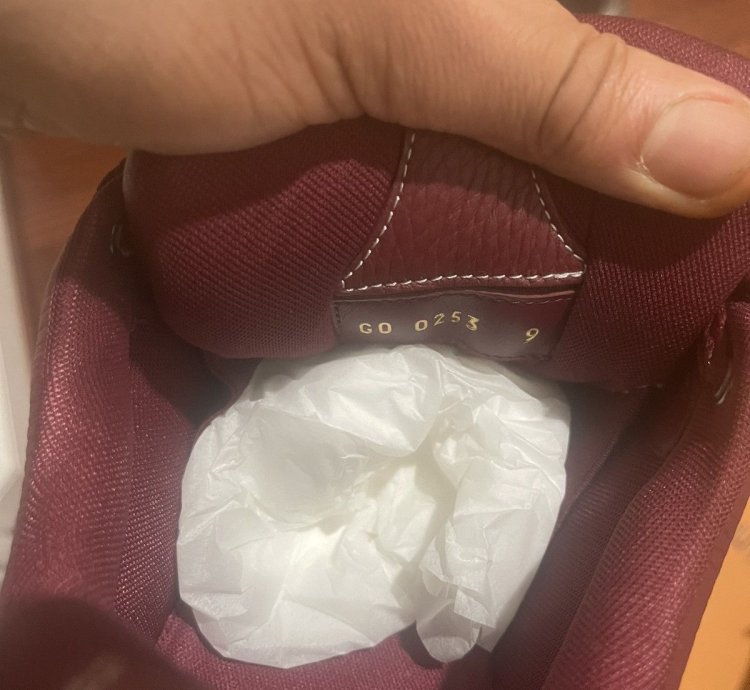 Louis Vuitton Skate Sneakers Burgundy