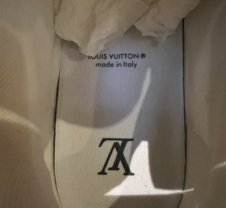 Louis Vuitton Skate Sneakers Fw22