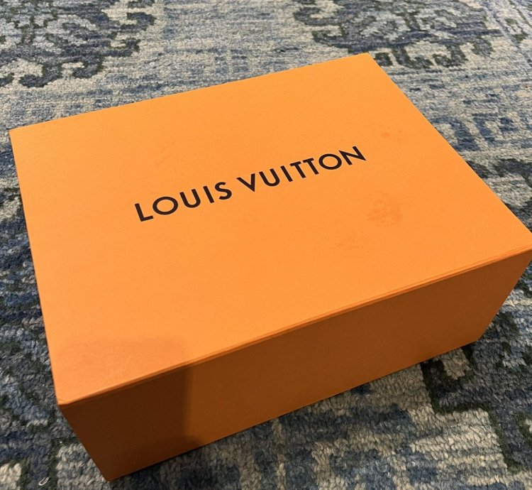 Louis Vuitton Skate Sneakers Fw22