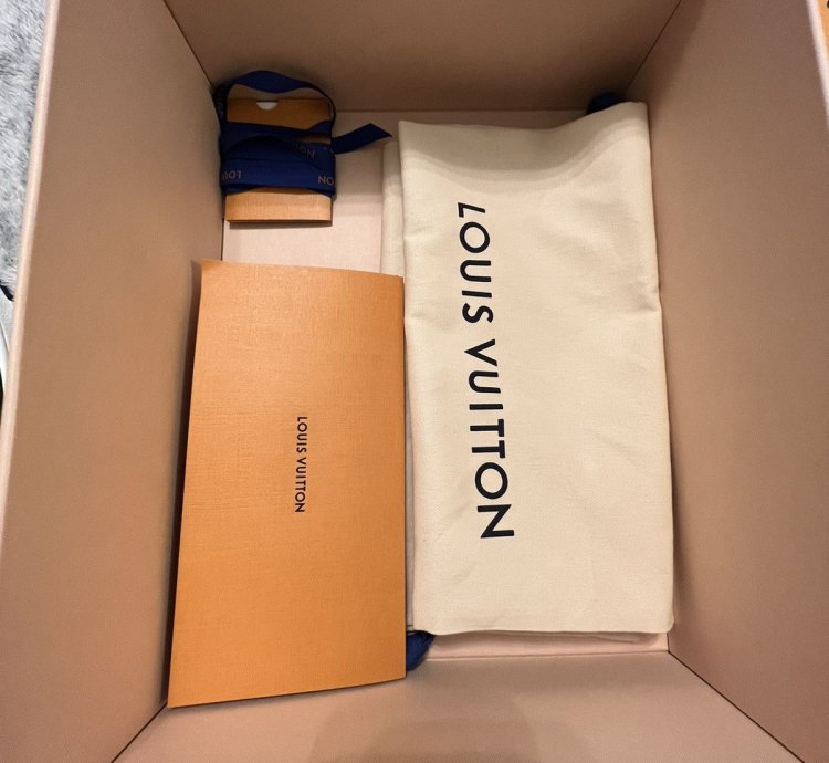 Louis Vuitton Skate Sneakers Marine